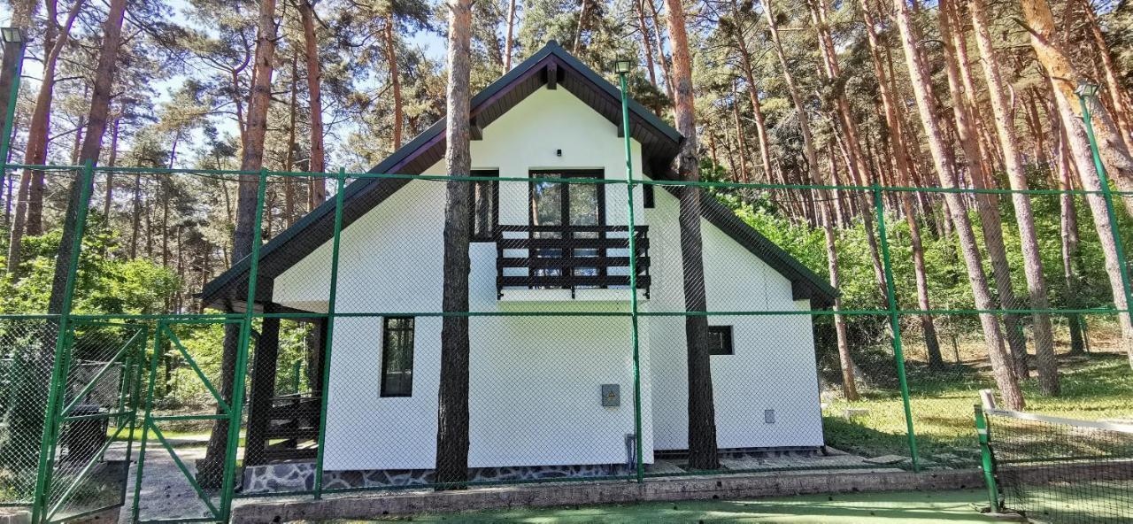 Complex Parc Pini Moinesti Ξενοδοχείο Εξωτερικό φωτογραφία