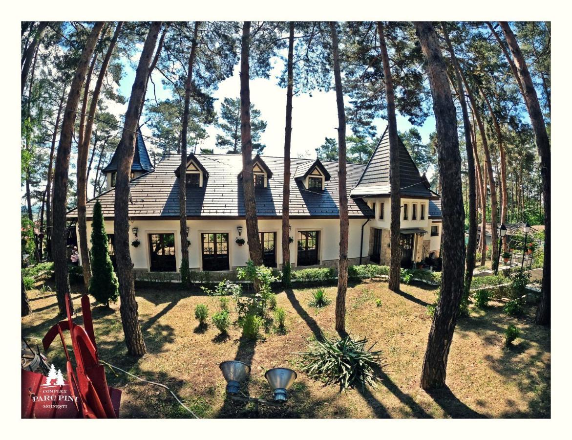 Complex Parc Pini Moinesti Ξενοδοχείο Εξωτερικό φωτογραφία
