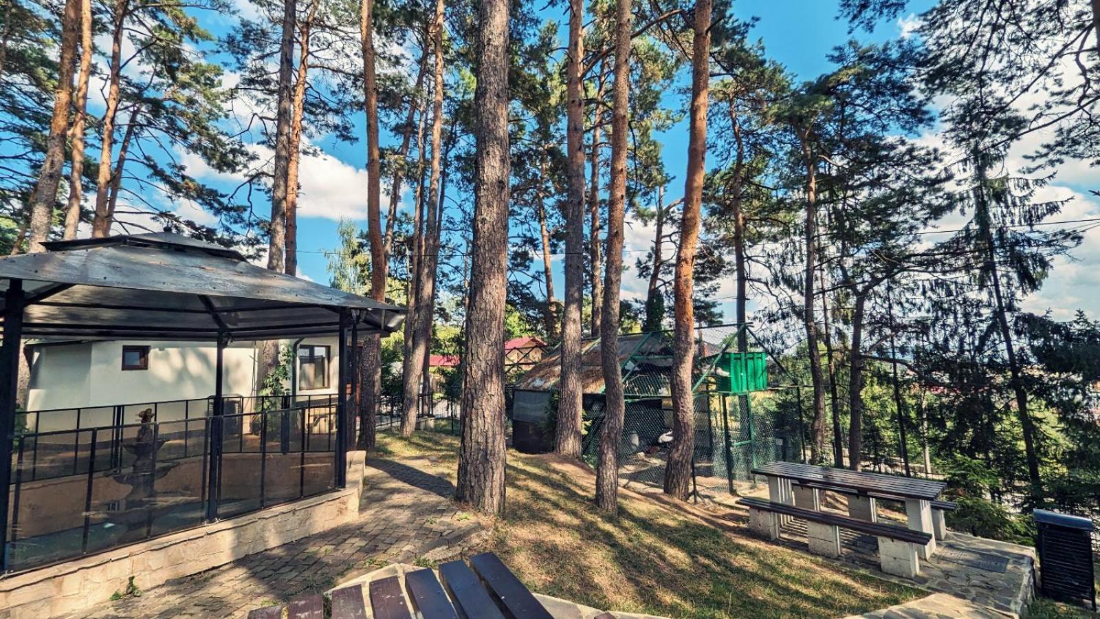 Complex Parc Pini Moinesti Ξενοδοχείο Εξωτερικό φωτογραφία